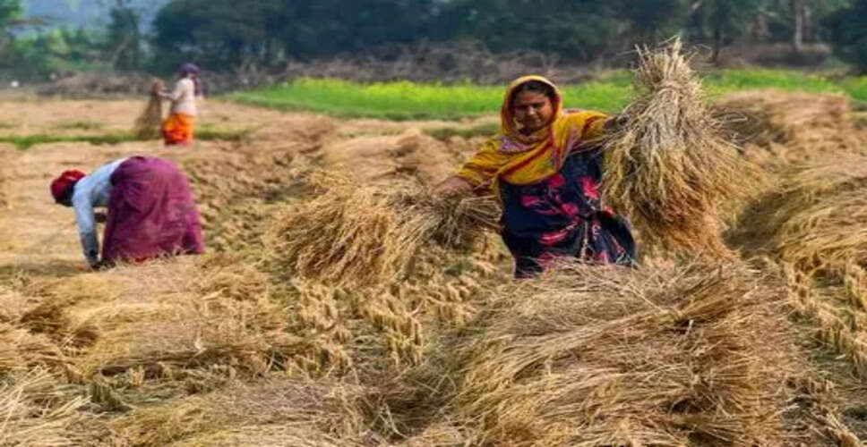 Chhattisgarh Paddy Procurement Scam: Arrest Made in Rs 6.55 Crore Case