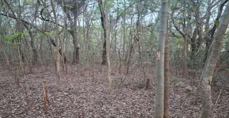 Concerns Raised Over Tree Felling for NIT Rourkela Construction