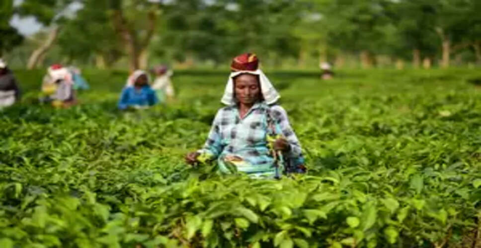 Indian tea industry employs 12 lakh workers, 58 pc women: Piyush Goyal
