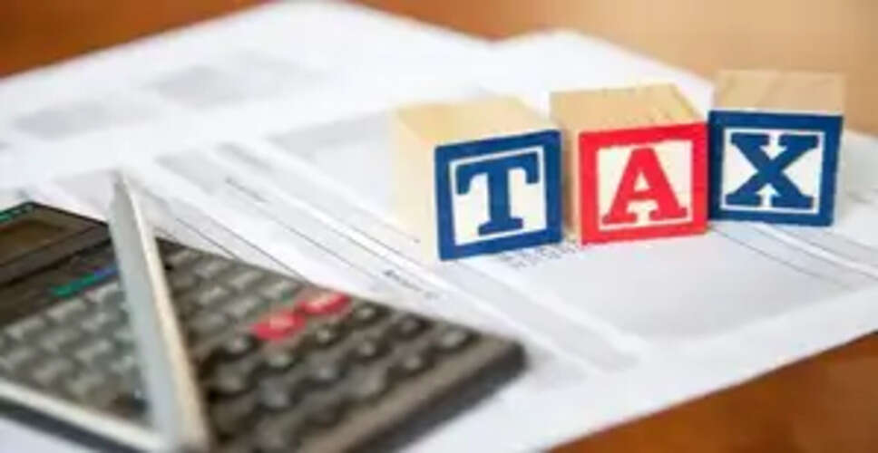 Explainer: Tax-free limit of Rs 12 lakh excludes special income