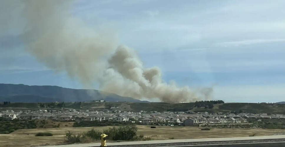 Brush Fire Erupts in Temecula, Prompting Emergency Response