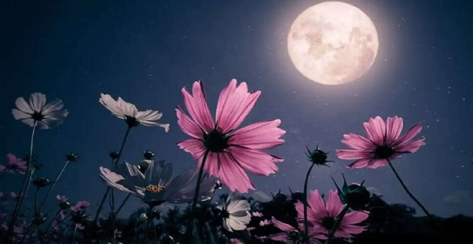 Significance of Jyeshtha Adhik Purnima: A Rare Celestial Event