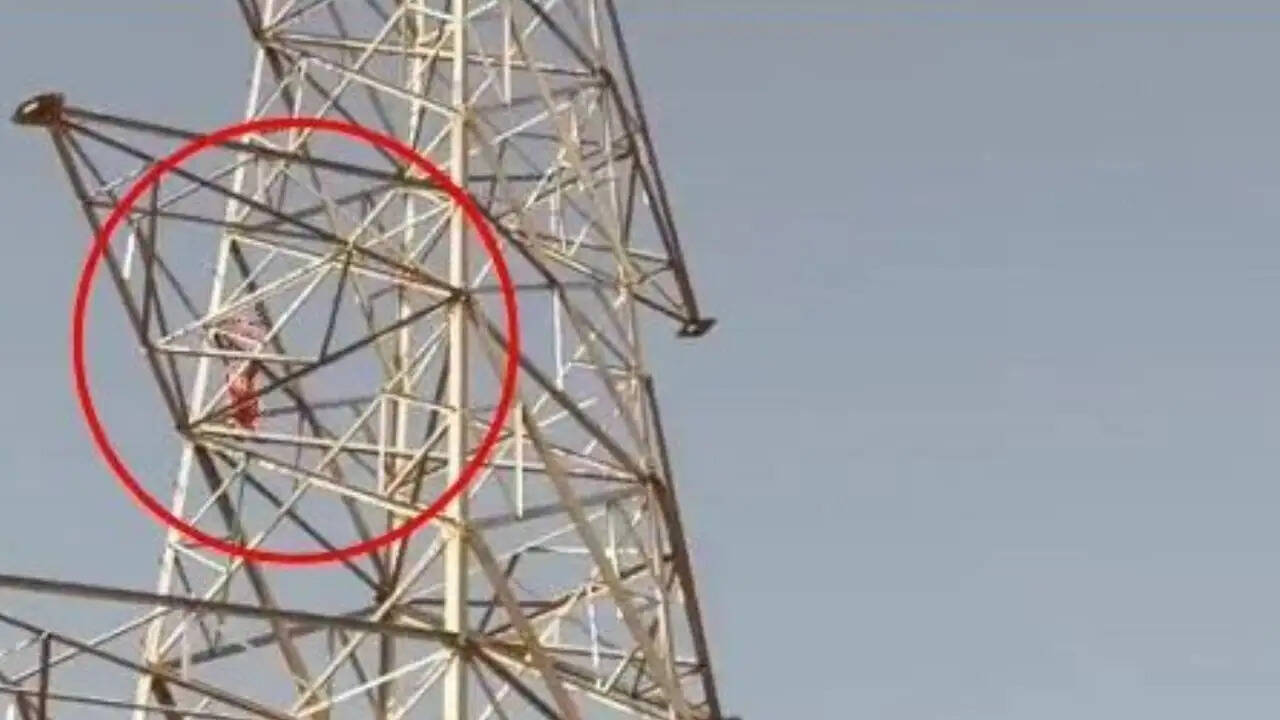 Young Woman Climbs Mobile Tower Over Relationship Issues in Madhya Pradesh