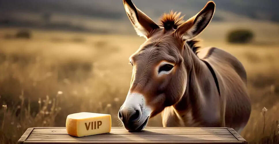 Interesting General Knowledge Questions for Competitive Exams