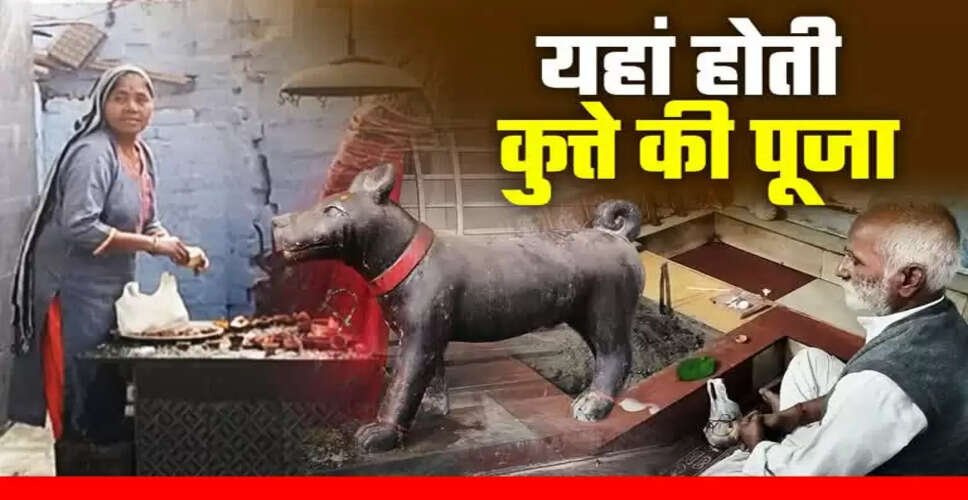 The Unique Worship of Dogs in Uttar Pradesh: A Tale of Faith and Tradition