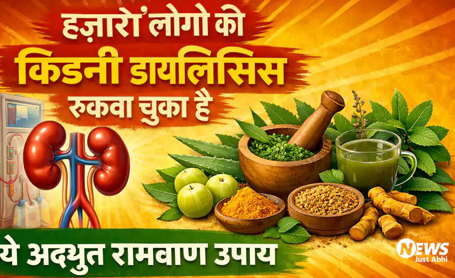 Effective Remedies for Kidney Patients: Three Natural Solutions