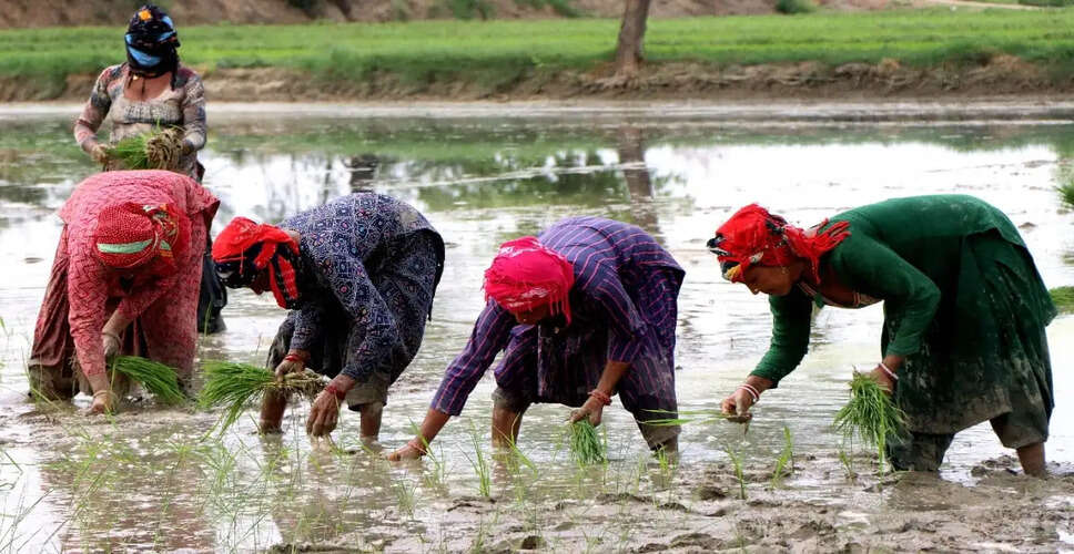 Major Irregularities Uncovered in Maharashtra's Chief Minister's Women's Welfare Scheme