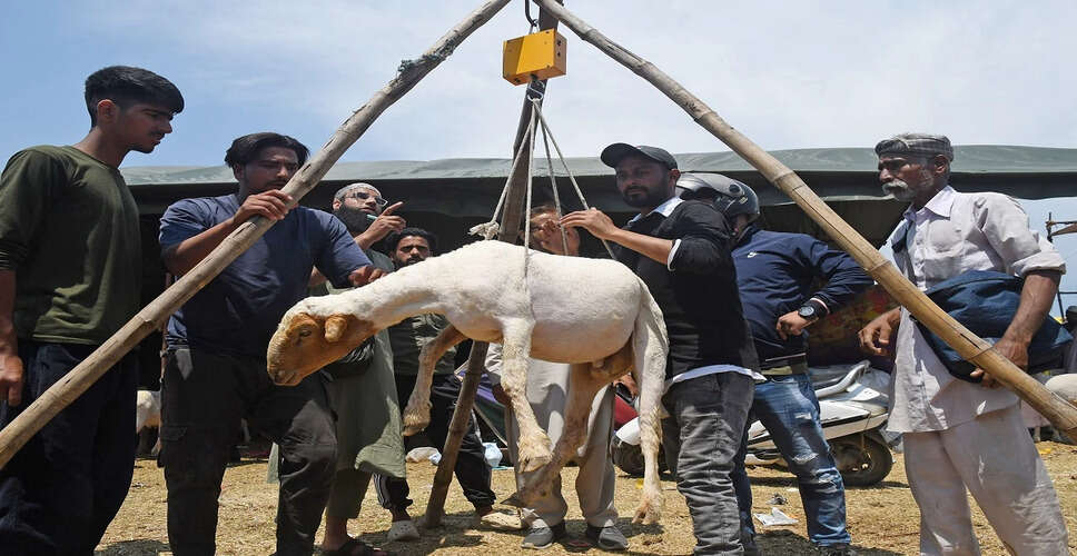 Significant Rise in Goat Exports from Rajasthan to UAE for Eid-al-Adha