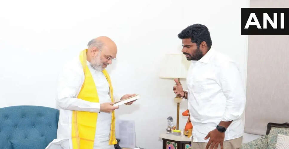 Tamil Nadu BJP's Annamalai Meets Amit Shah Amid Speculations