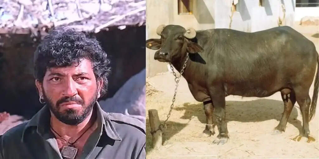 Amjad Khan: The Tea-Loving Villain of Hindi Cinema