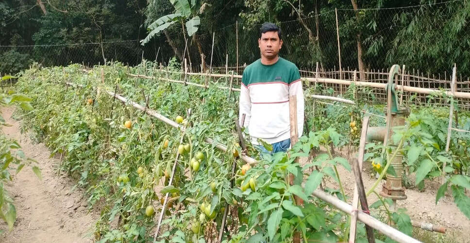 Innovative Farming Practices Transform Lives in Patacharkuchi