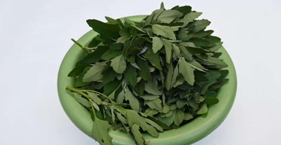 3 Tasty Bathua Recipes for a Healthy Winter