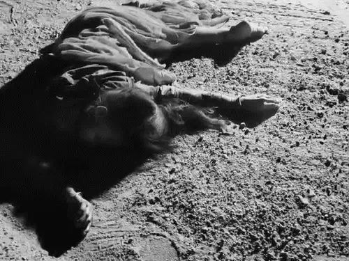 Tragic Road Accident Claims Three Lives in High-Speed Collision