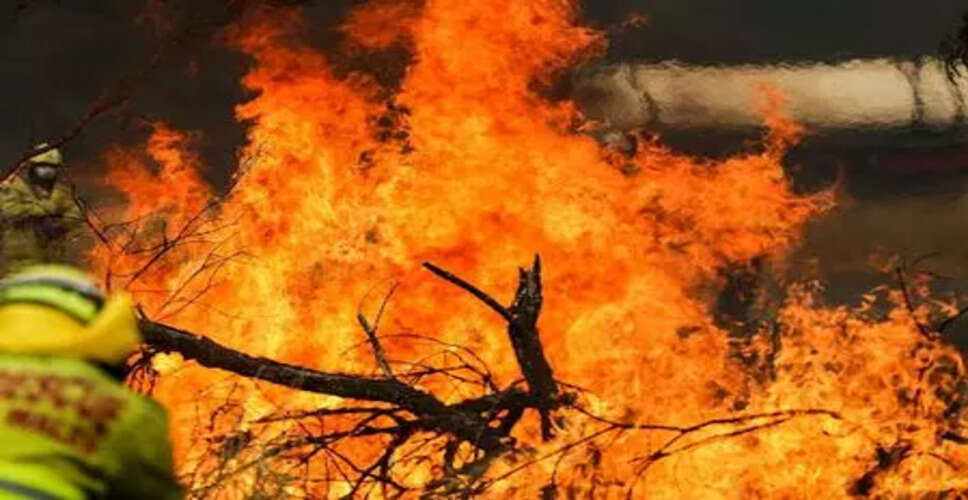 Severe Bushfires Devastate New South Wales and Tasmania