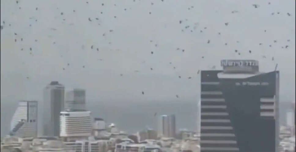 Viral Video of Crows Over Tel Aviv Sparks Speculation and Fear