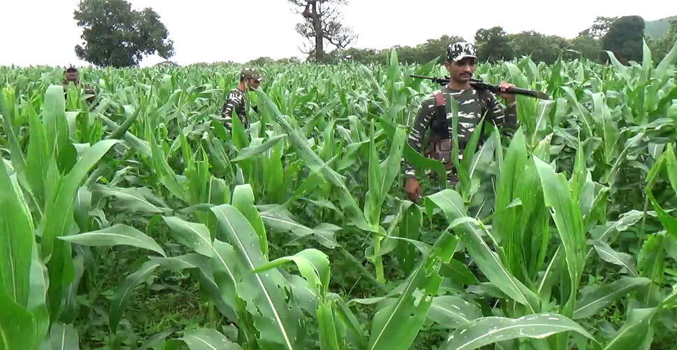 Security Forces Eliminate Notorious Maoist in Chhattisgarh Encounter