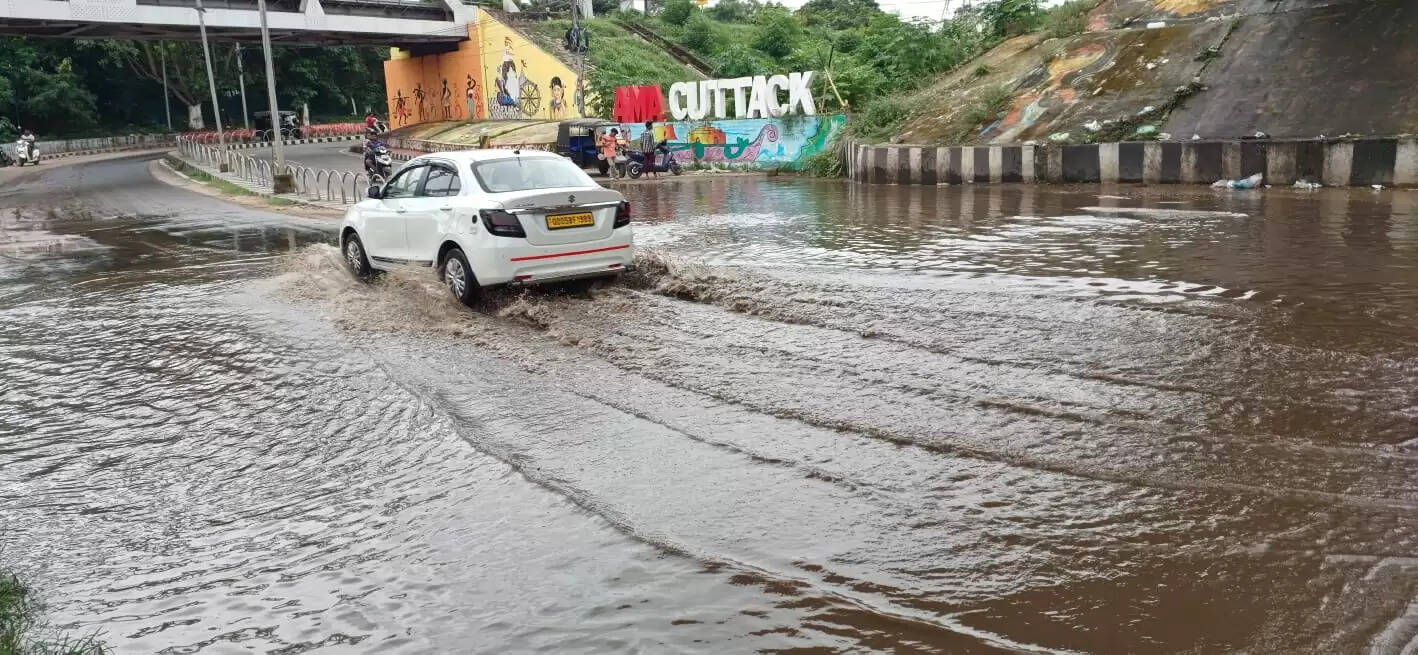 Mahanadi River Surges: Impact on Local Transport and Fishing Activities