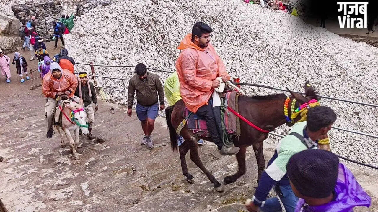 Increasing Cyber Fraud During Char Dham Yatra: Police Alert