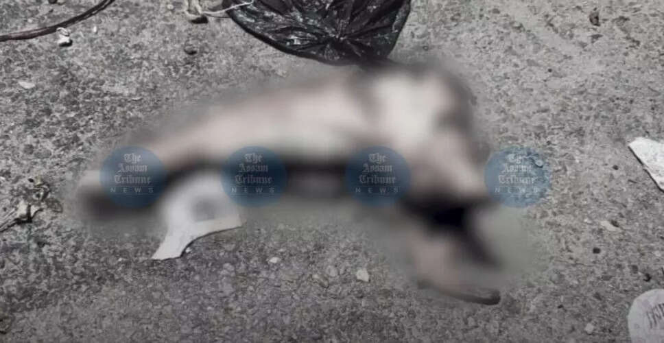 Tension Erupts in Guwahati After Cow Meat Found Near Cotton University