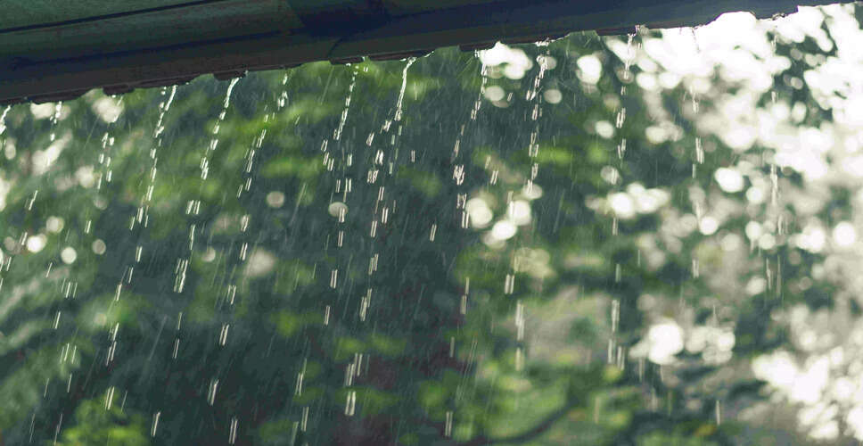 Monsoon Advances in Northeast India: Rainfall Expected Soon
