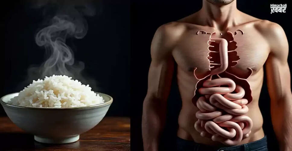 The Hidden Dangers of Eating Rice: What You Need to Know
