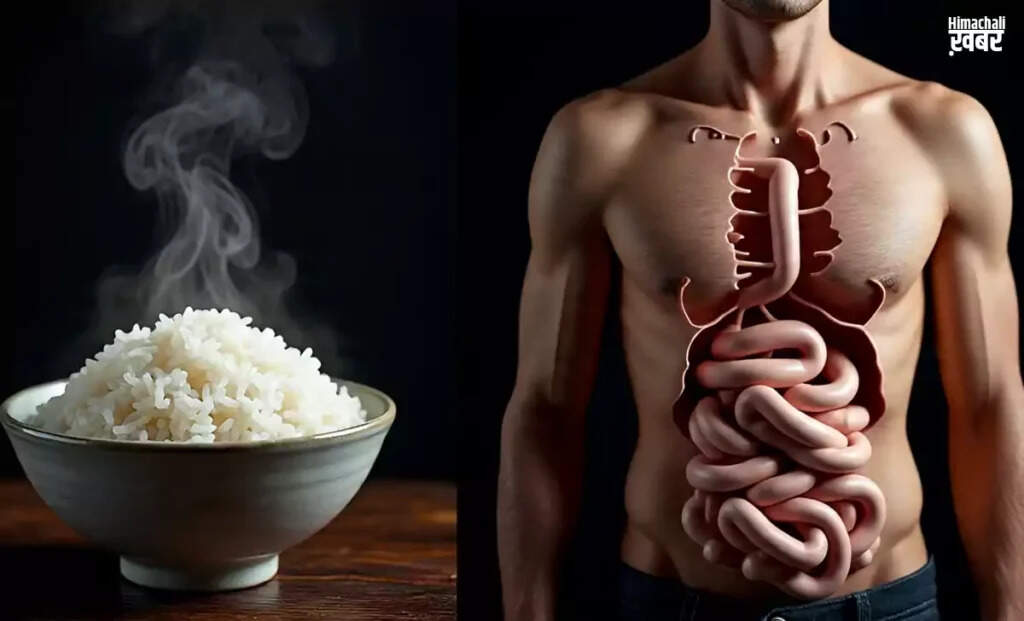 The Hidden Dangers of Eating Rice: What You Need to Know
