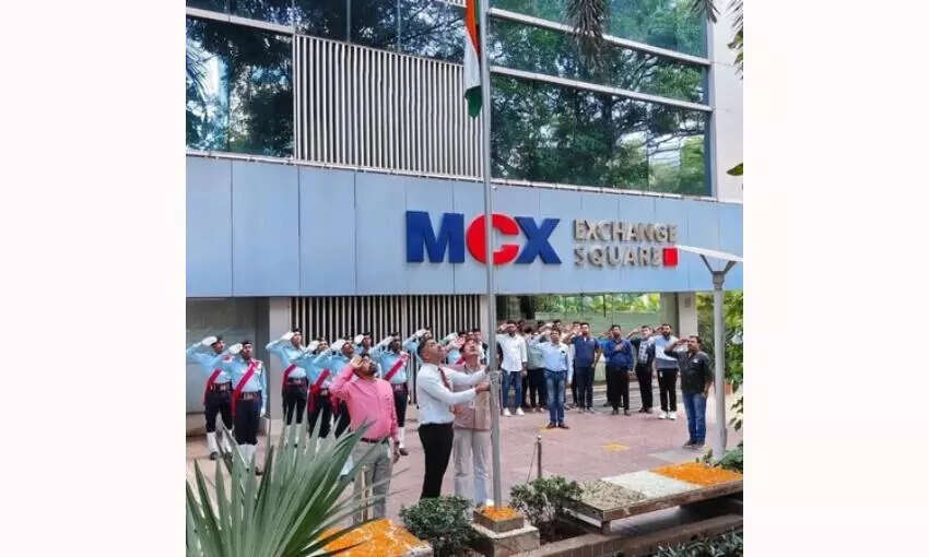 MCX to Introduce Electricity Futures Contract to Enhance Market Stability