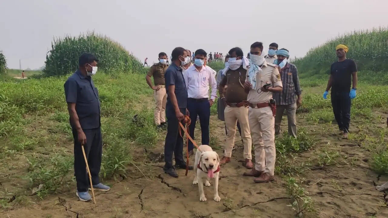 भूतिया हत्या की वारदात: भागलपुर में युवक के शव के पांच टुकड़े मिले