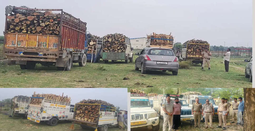 Police Uncover Illegal Timber Transport in Nurpur
