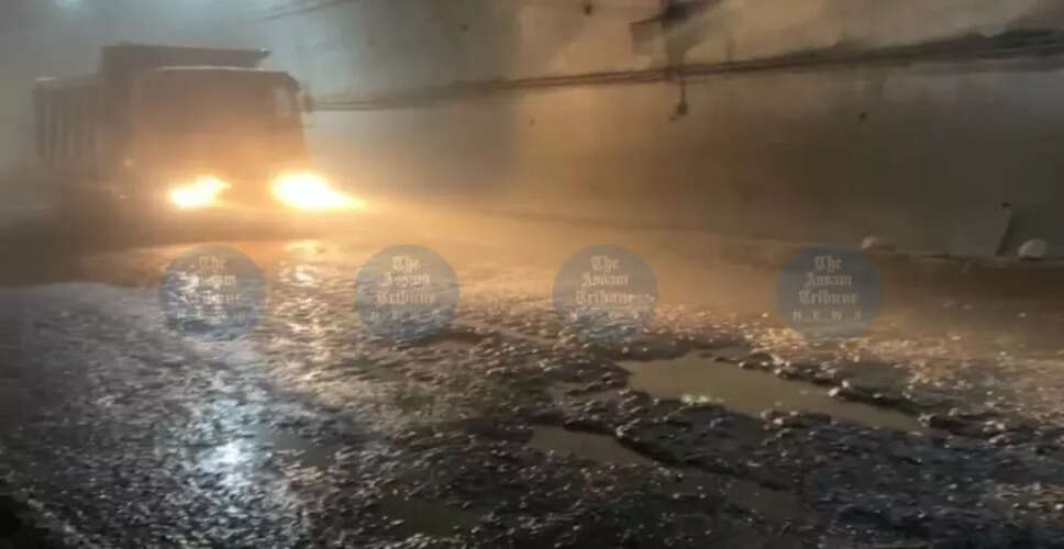 Deteriorating Tunnel on NH-27 Raises Safety Concerns in Dima Hasao