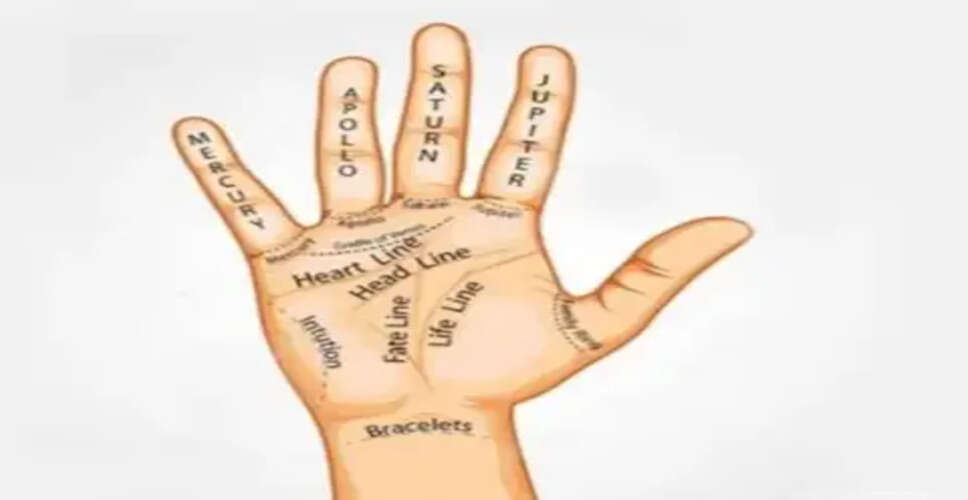 Understanding the Significance of the Sun Line in Palmistry