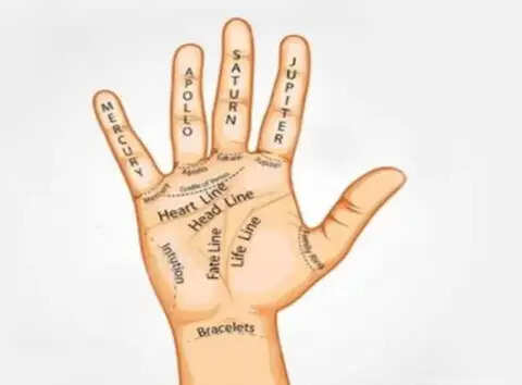 Understanding the Significance of the Sun Line in Palmistry