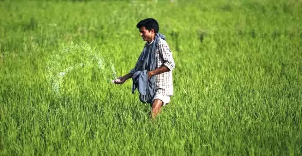 Will El Nino Disrupt India's Agriculture? Government Assures Limited Impact
