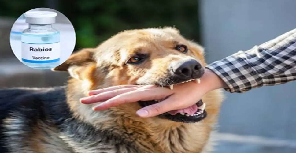 Essential Information on Anti-Rabies Vaccination After Dog Bites