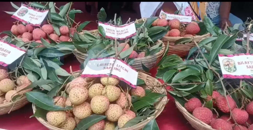 Tezpur Litchi Festival 2026: A Celebration of Agriculture and Innovation