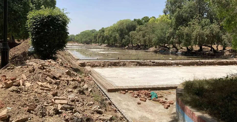 Central Vista Project Faces Tree Loss Amid Ongoing Developments