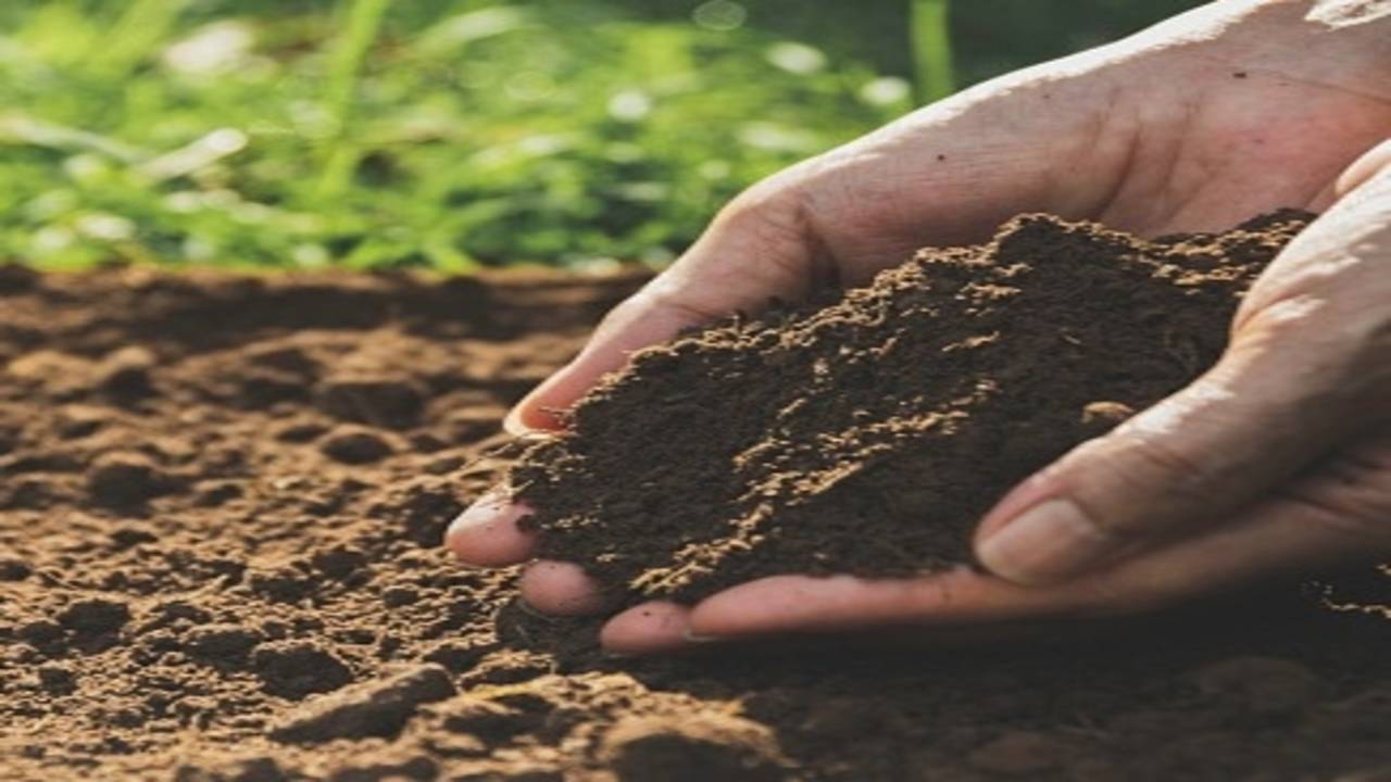 Enriching farmland soil can help prevent childhood stunting