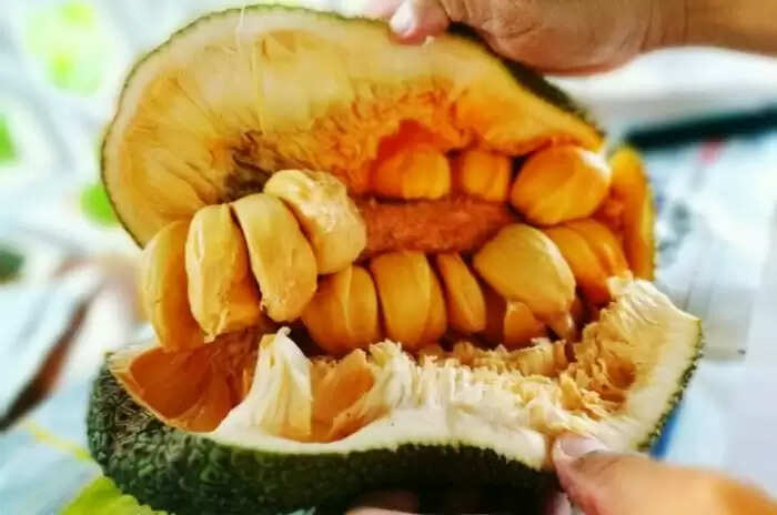 The Health Risks of Consuming Jackfruit Seeds