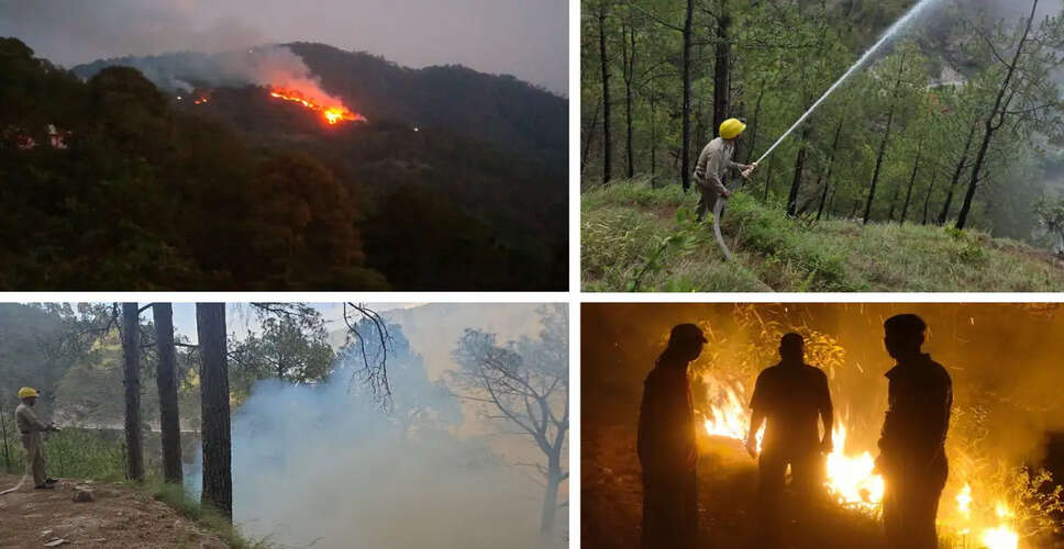 Himachal Pradesh Faces Severe Wildfire Crisis Amid Prolonged Dry Spell