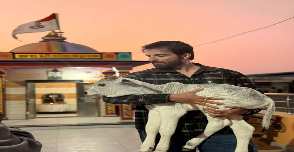 Sonu Sood Supports Cow Shelter in Gujarat: A Commitment to Animal Welfare