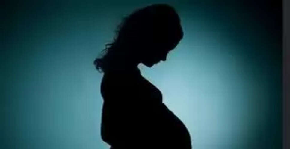 Tragic Domestic Violence Incident Claims Life of Pregnant Woman in Odisha