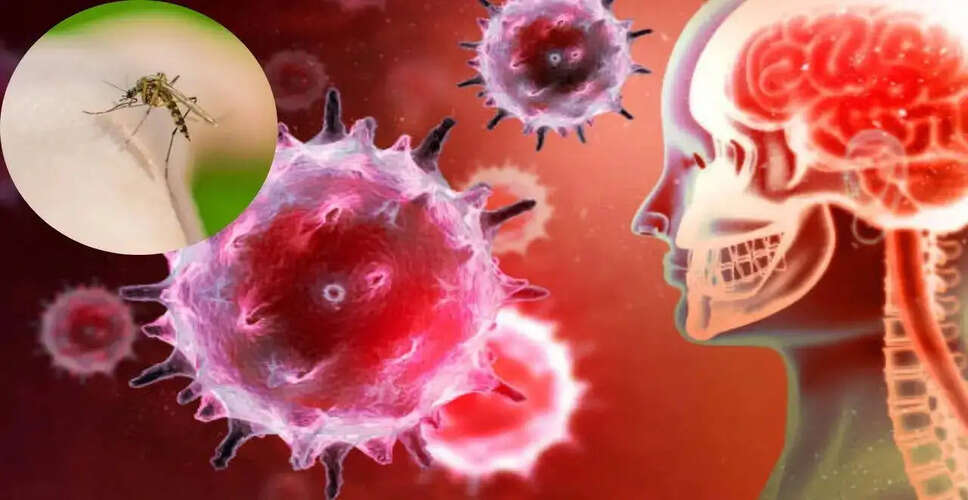 Rajasthan Faces Encephalitis Scare as Five Children Die