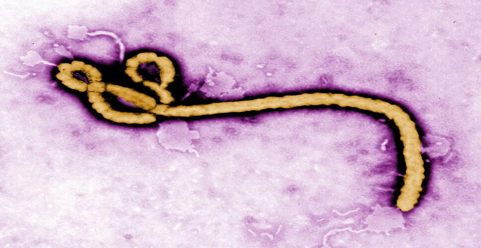 New Ebola Outbreak Declared in Democratic Republic of Congo