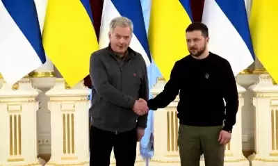 Ukrainian, Finnish Presidents meet on security issues