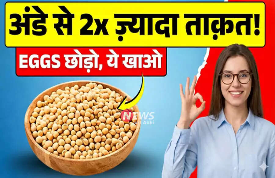 Top Vegetarian Sources of Protein for a Healthy Diet