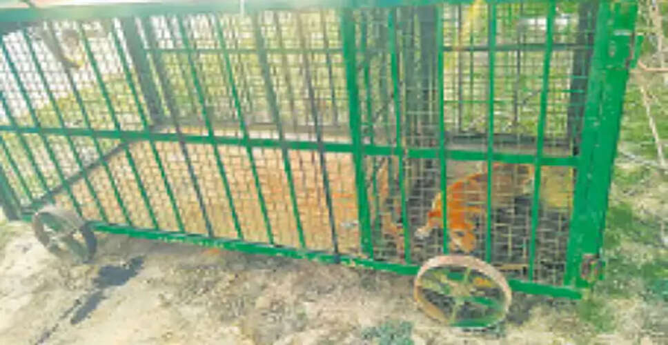 Ongoing Search for Leopard Causes Fear in Rural Areas