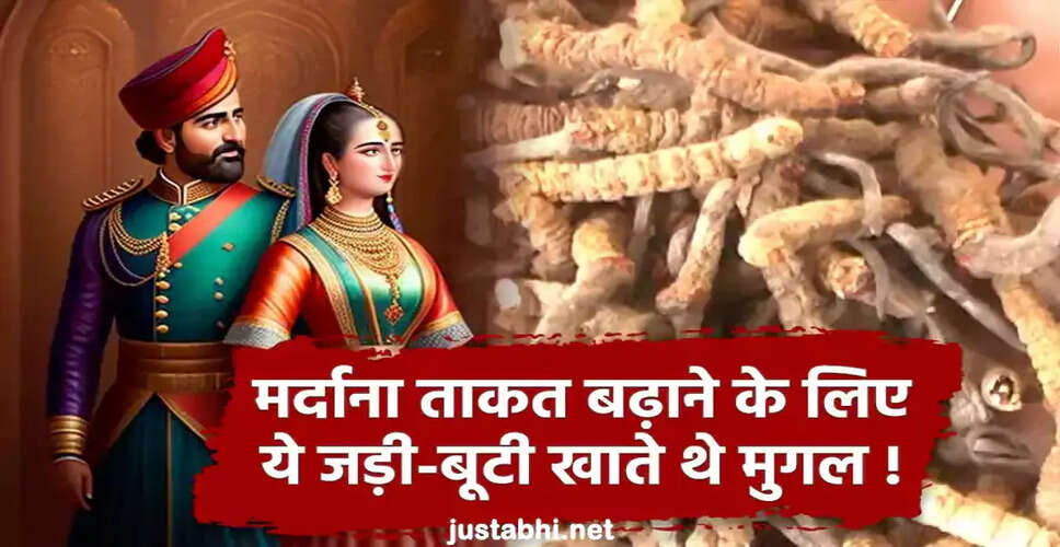 Enhancing Male Vitality: Natural Remedies and Insights