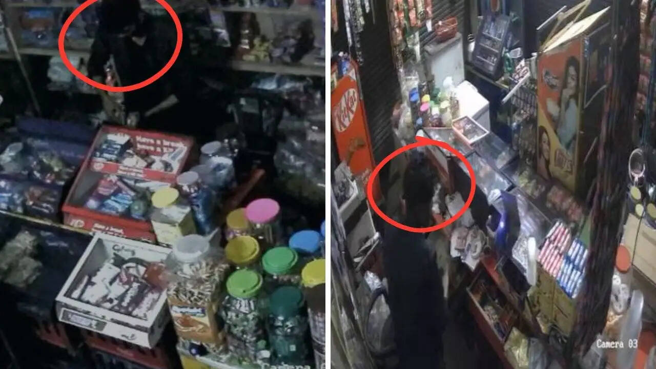 Thief Steals from Bakery Near Police Station in Kota, Rajasthan