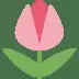 Shining Star Awards 2023: Apply Now for Recognition in Palampur