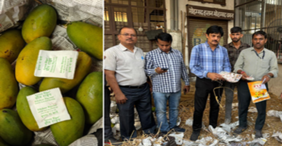 Food Safety Dept seize fruit ripening chemicals, issues challans to 4 traders in Jaipur
